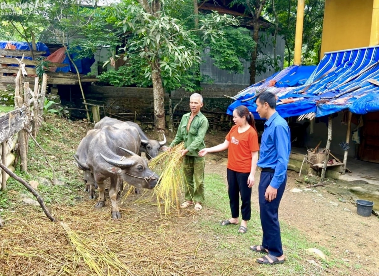 Cuộc sống của người Ơ Đu đang đổi thay rừng ngày nhờ phát triển chăn nuôi Cuộc sống của người Ơ Đu đang đổi thay rừng ngày nhờ phát triển chăn nuôi