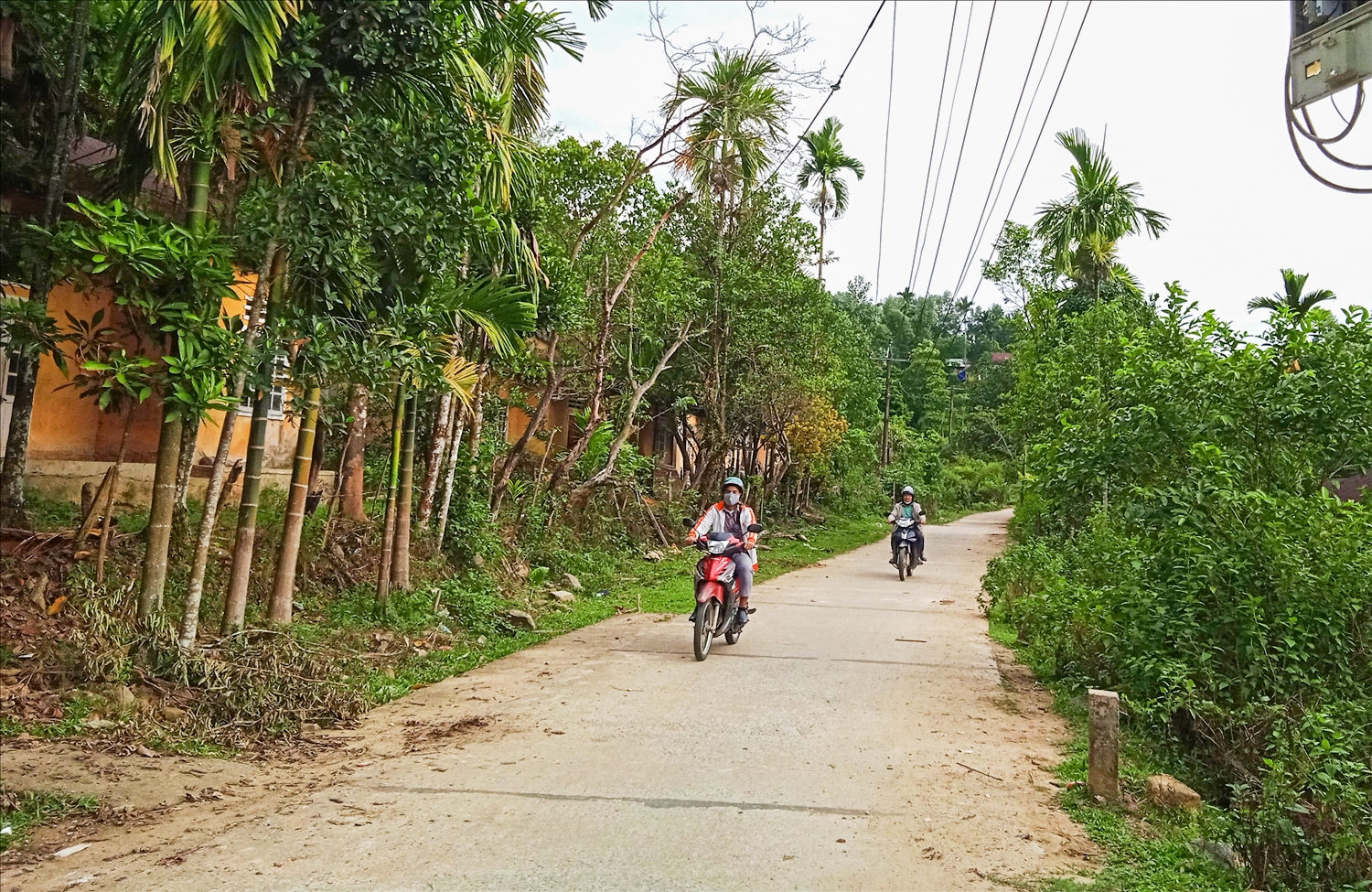 Các tuyến đường trong thôn 5 đã được bê tông hoá rất thuận lợi cho việc đi lại của người dân.