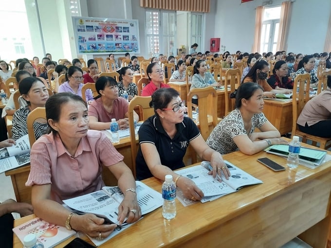 Cộng tác viên dân số của huyện Tuy Phong tham gia tập huấn về công tác truyền thông về dân số, phòng chống tảo hôn Cộng tác viên dân số của huyện Tuy Phong tham gia tập huấn về công tác truyền thông về dân số, phòng chống tảo hôn