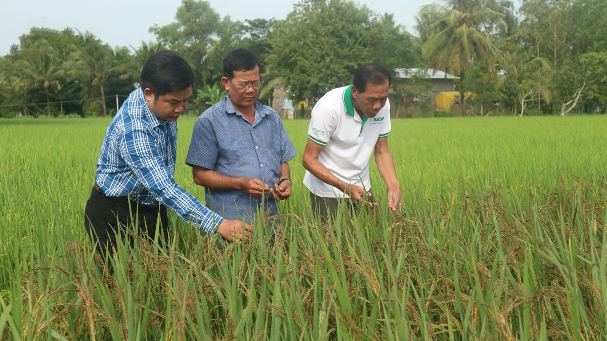 Ông Kim Hên là tấm gương “Người cao tuổi làm kinh tế giỏi” tại tỉnh Sóc Trăng