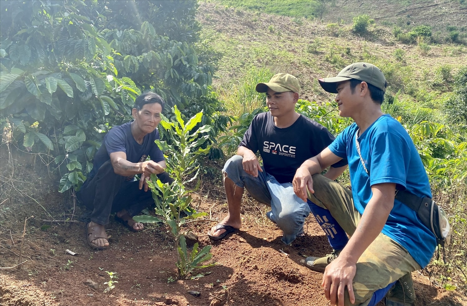 Ông A Ngăn (bên trái) ở thôn Vai Trang, xã Đăk Long chăm sóc cây mắc ca sau khi được hỗ trợ