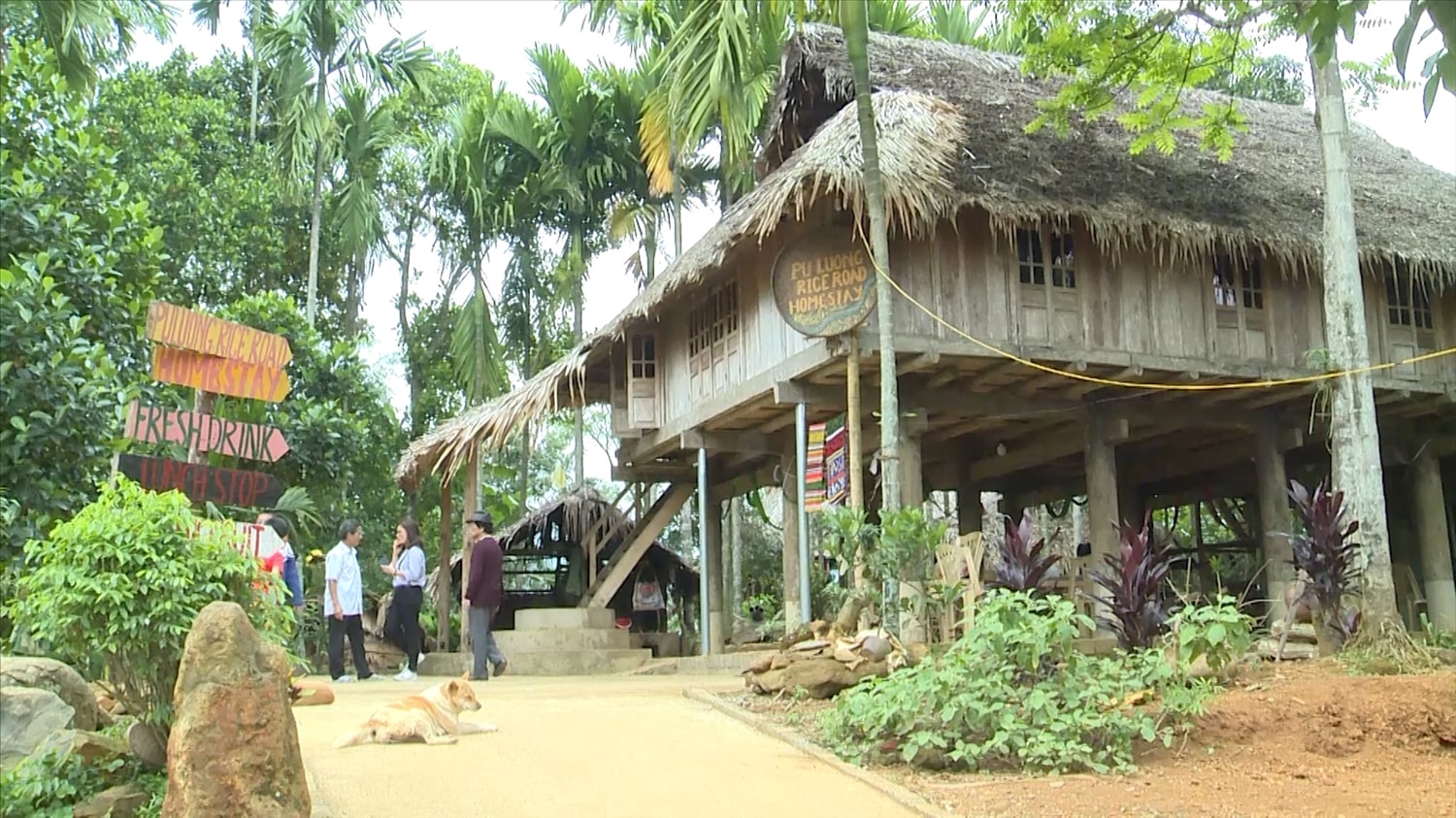 Mô hình Homestay tại Pù Luông, huyện Bá Thước góp phần phát triển du lịch, nâng cao thu nhập cho người dân