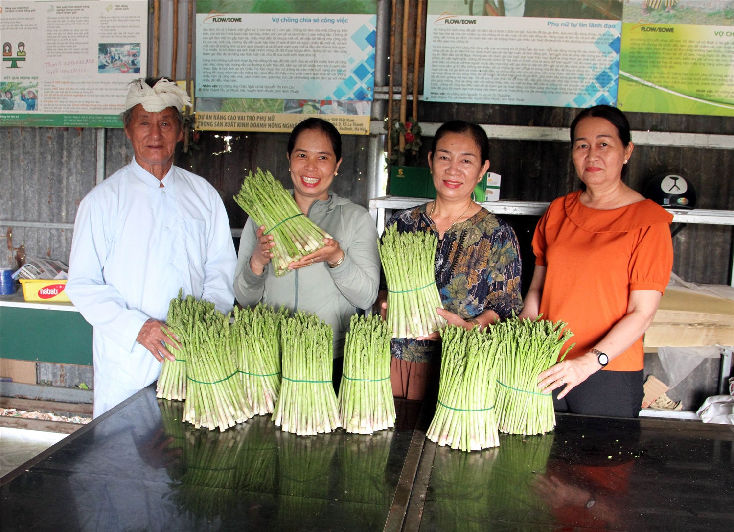 Ông Châu Văn Bính, Người có uy tín thôn Thành Tín (xã Phước Hải) vận động bà con thôn xóm trồng măng tây xanh cho thu nhập cao.