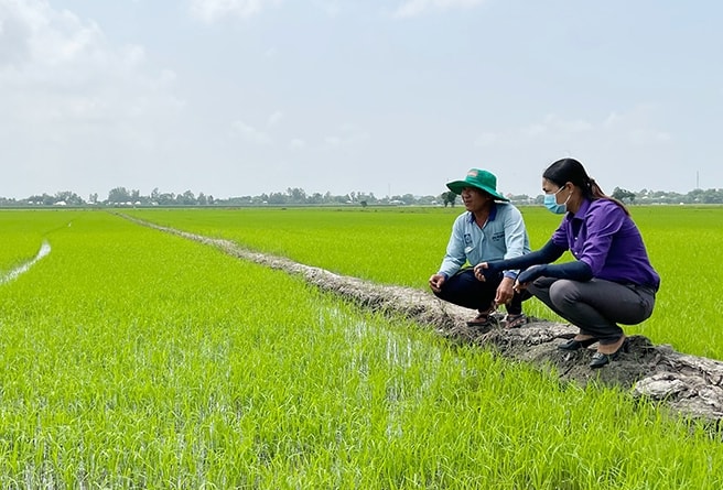 Chương trình hỗ trợ sản xuất, đa dạng hóa sinh kế và nhân rộng mô hình giảm nghèo từ Chương trình MTQG 1719 góp phần tích cực giảm nghèo trong đồng bào DTTS tỉnh An Giang.
