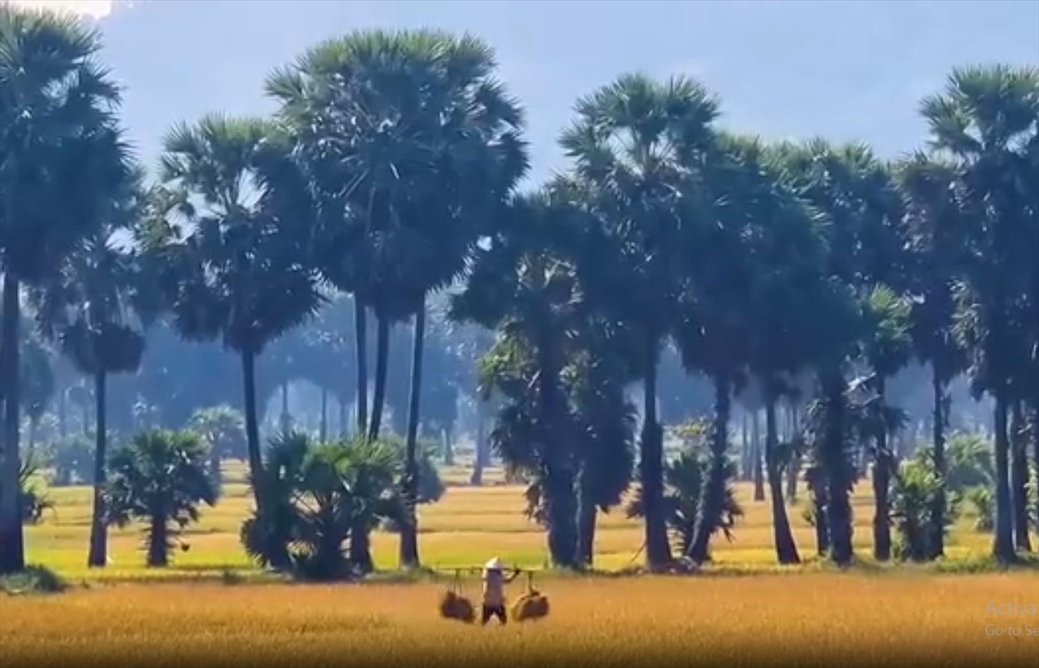 An Giang chú trọng giảm nghèo bền vững cho vùng đồng bào DTTS