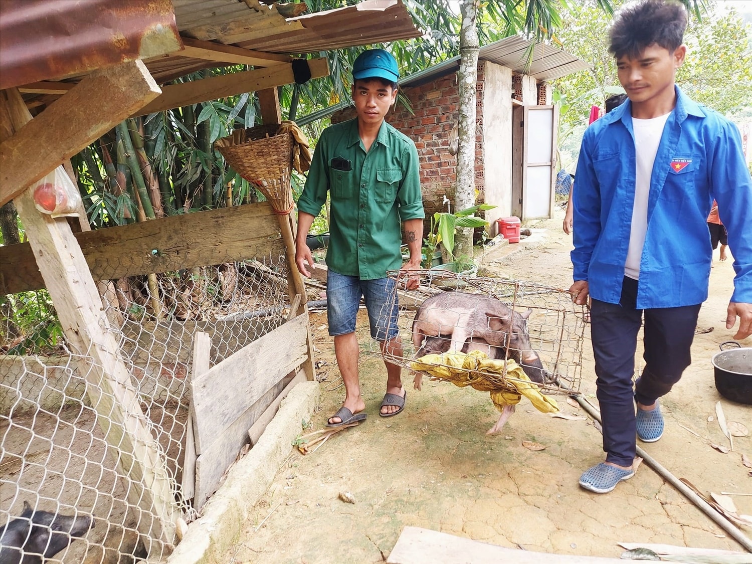 Người dân được hỗ trợ con giống để phát triển chăn nuôi Người dân được hỗ trợ con giống để phát triển chăn nuôi
