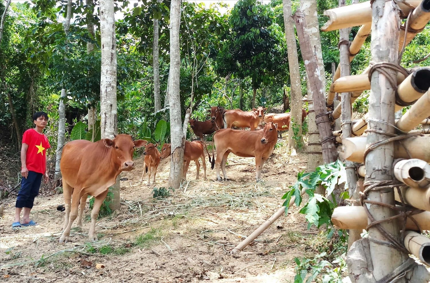 Người dân đã và đang hưởng lợi từ nguồn lực đầu tư lớn từ Chương trình MTQG Người dân đã và đang hưởng lợi từ nguồn lực đầu tư lớn từ Chương trình MTQG