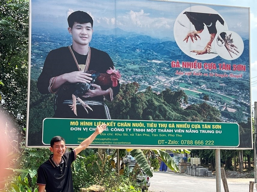 Năm 2021, anh Nguyễn Văn Đức thành lập Công ty TNHH Nắng Trung Du thực hiện liên kết với các hộ chăn nuôi gà nhiều cựa
