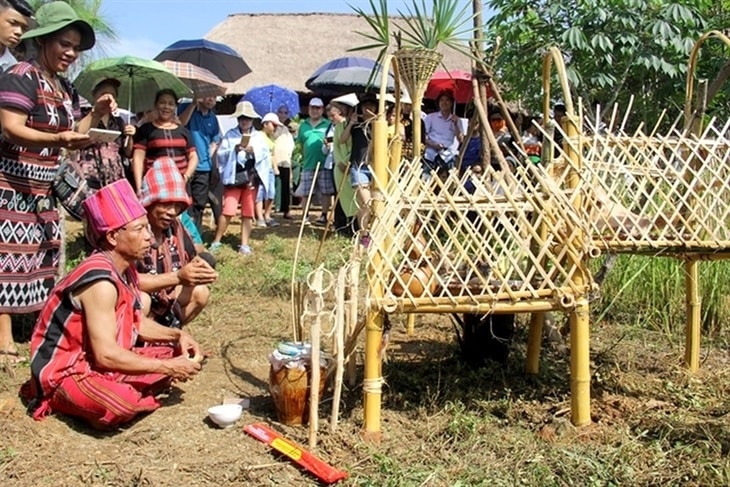 Già làng Hồ Văn Hạnh (ngồi ngoài cùng, bên trái) làm chủ lễ cúng truyền thống của dân tộc Pa Cô.