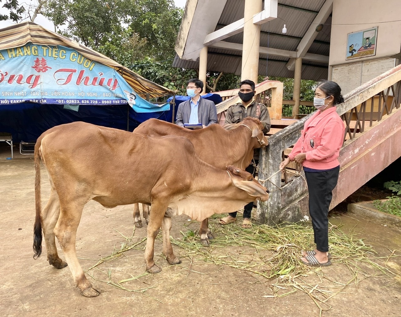 Thực hiện chính sách hỗ trợ cây, con giống giúp nhiều hộ đồng bào DTTS trên địa bàn huyện Ea Kar vươn lên thoát nghèo Thực hiện chính sách hỗ trợ cây, con giống giúp nhiều hộ đồng bào DTTS trên địa bàn huyện Ea Kar vươn lên thoát nghèo