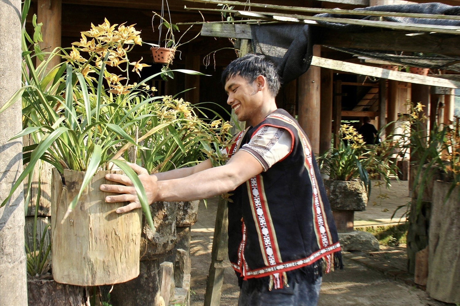 Dân làng cẩn thận chăm sóc, nhân bản từng cây địa lan