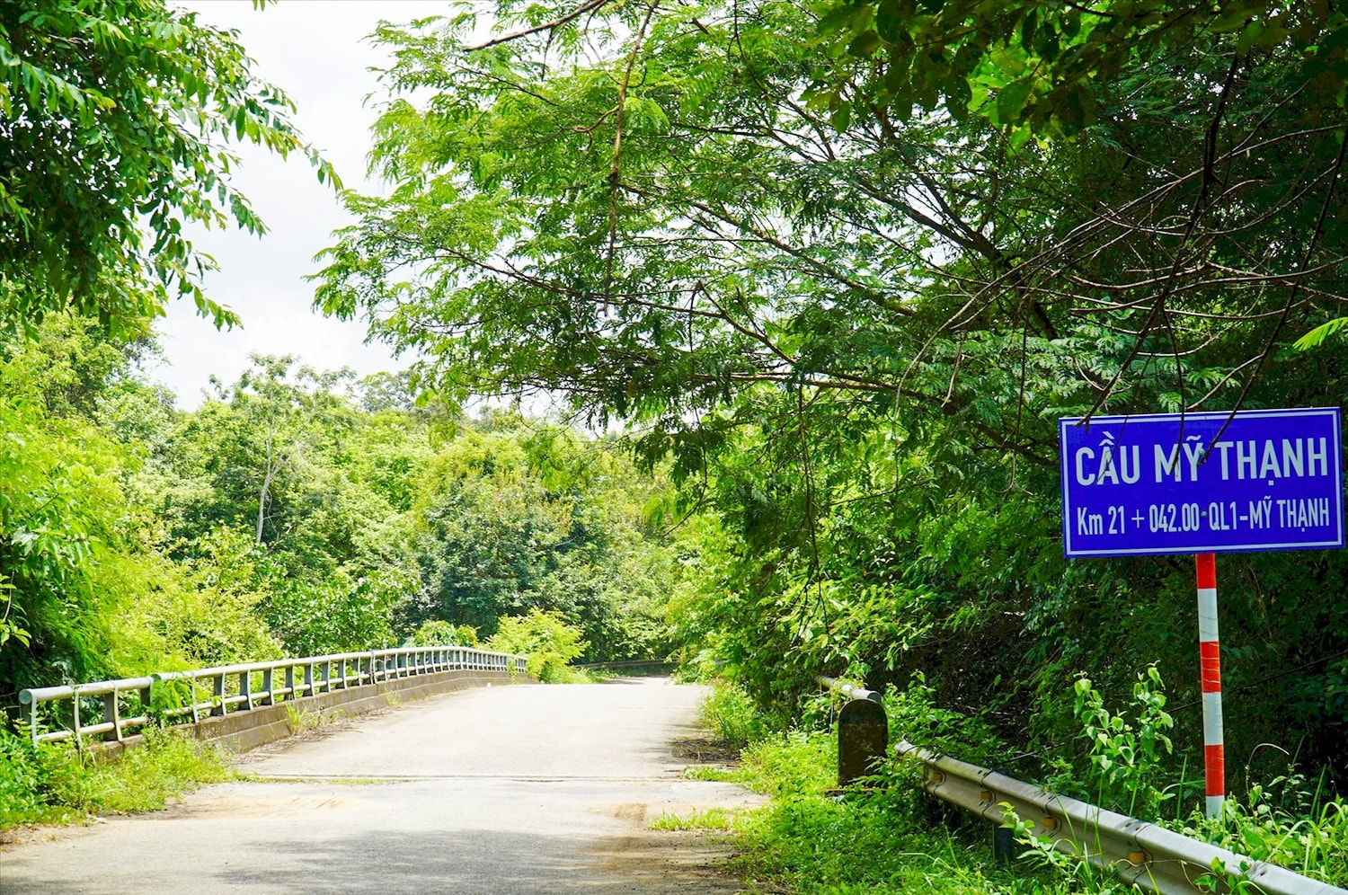 Đường vào Mỹ Thạnh đã bê tông hóa đến tận xã