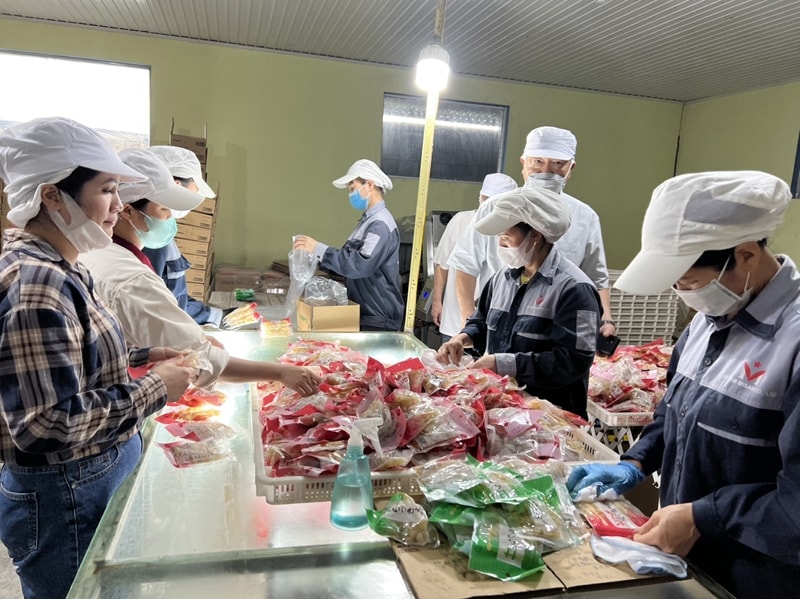 Từ năm 2018 đến nay, Công ty Trách nhiệm hữu hạn Việt Nam Misaki đã xuất khẩu sang Nhật Bản được 1.183 tấn quả mơ, 941 tấn gừng, 1.362 tấn kiệu, 1.245 tấn măng, 172 tấn rau cải, 112 tấn củ cải và 12 tấn rau lang. Từ năm 2018 đến nay, Công ty Trách nhiệm hữu hạn Việt Nam Misaki đã xuất khẩu sang Nhật Bản được 1.183 tấn quả mơ, 941 tấn gừng, 1.362 tấn kiệu, 1.245 tấn măng, 172 tấn rau cải, 112 tấn củ cải và 12 tấn rau lang.