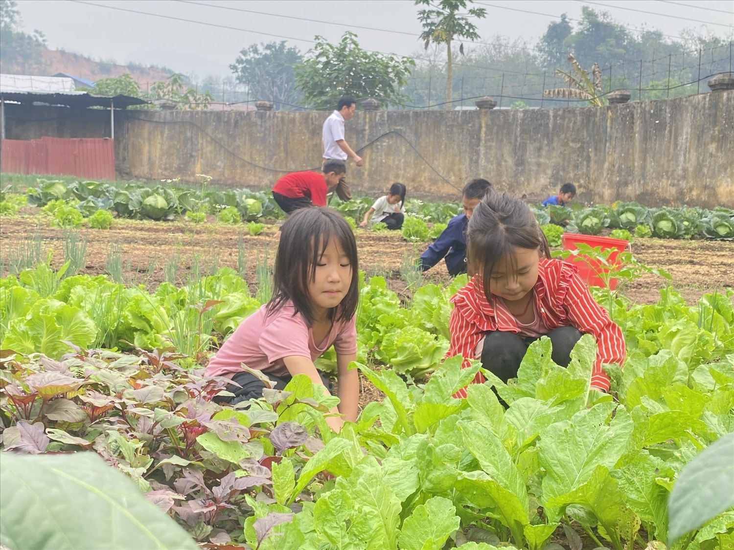 Ngoài giờ lên lớp học sinh bán trú còn được tham gia các hoạt động ngoại khóa