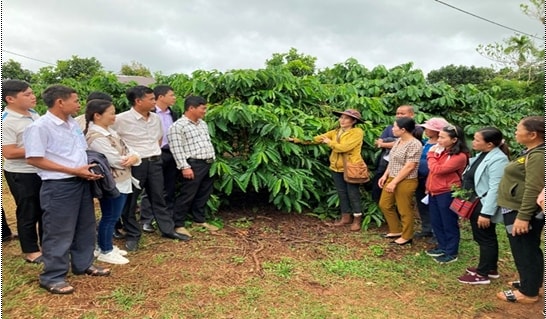 (BCĐ- CĐ Thông tin đối ngoại): Đắk Lắk: Hơn 190 tỷ đồng đầu tư cơ sở hạ tầng các xã biên giới 1