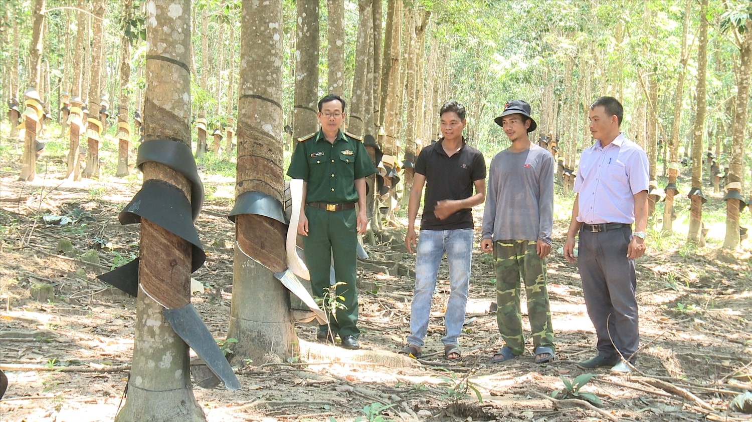 Với sự quan tâm của Đảng, Nhà nước, kinh tế của đồng bào DTTS ở Tây Nguyên đã có sự phát triển 