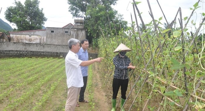 Người có uy tín cũng rất tích cực tìm tòi, sáng tạo, tạo nên những giá trị giúp đổi thay vùng đất nghèo