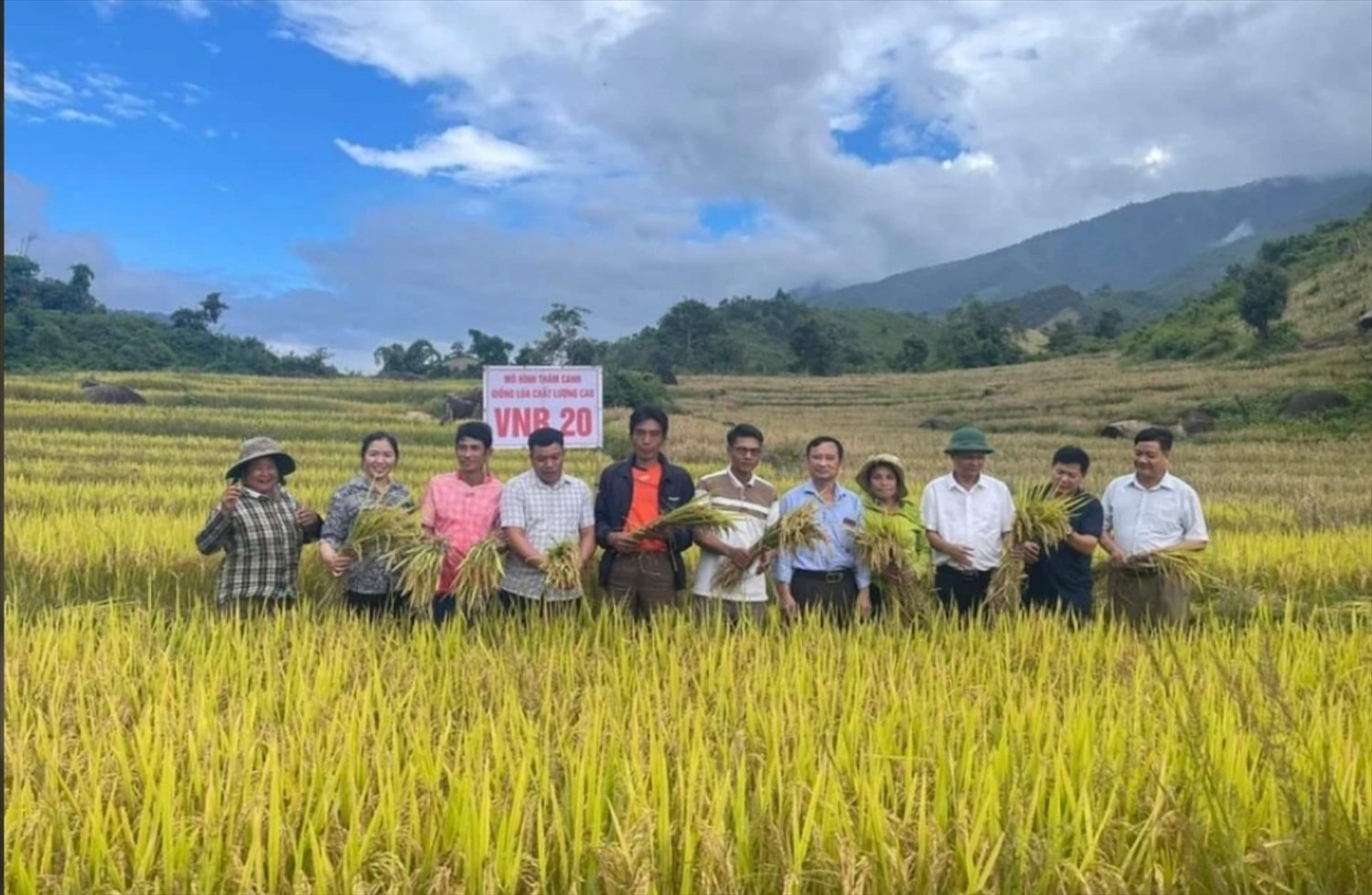 Mô hình trồng lúa thâm canh chất lượng cao ở Mường Ải