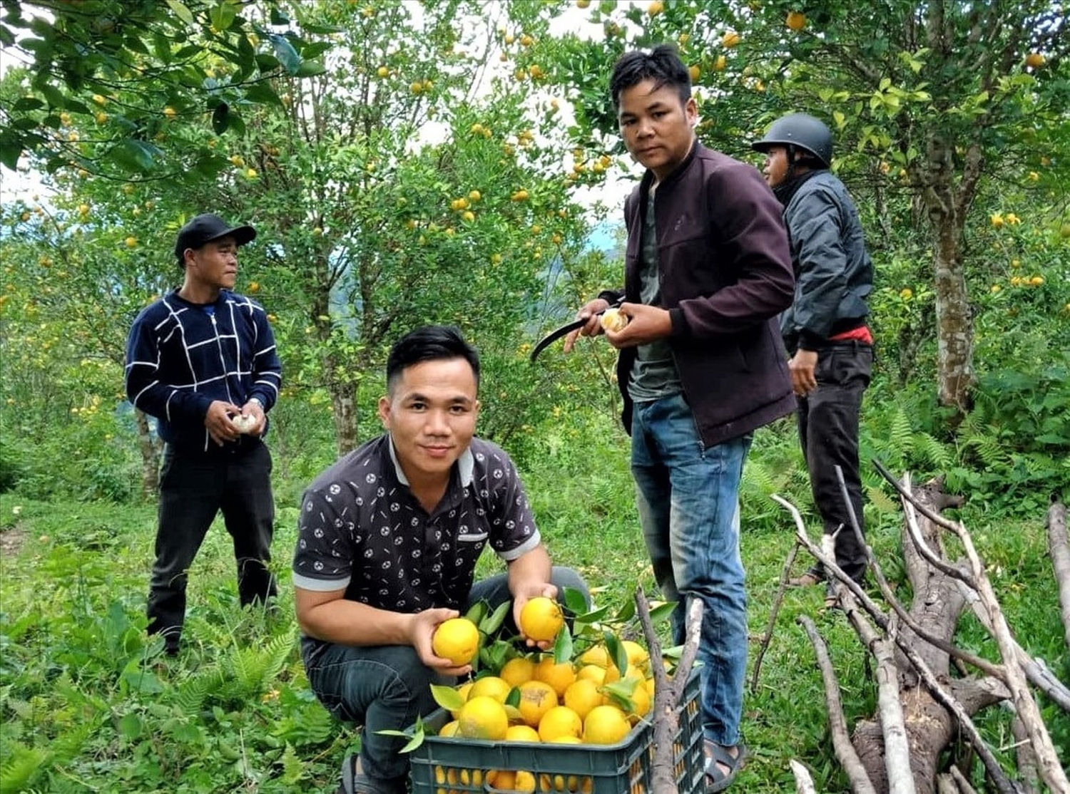 Anh Riah Dung  là đảng viên trẻ ở Tây Giang đã nỗ lực phát triển kinh tế gia đình. Ảnh Huy Trường