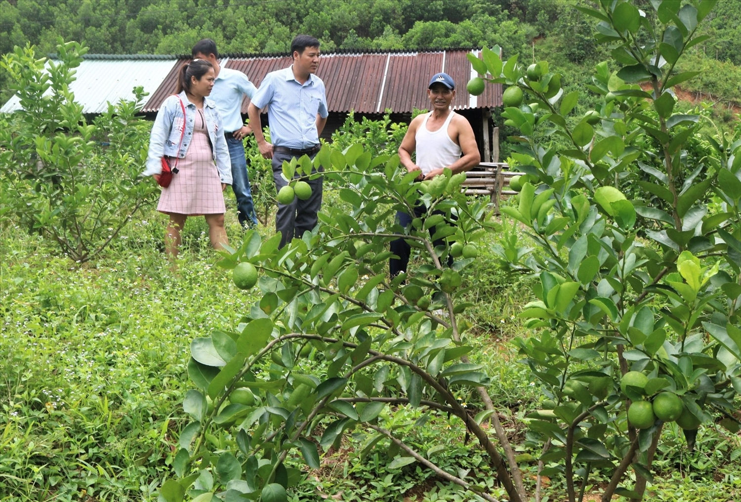 Hiện nay, nhiều đảng viên là người DTTS ở vùng cao đã và đang đầu tư phát triển kinh tế gia đình.