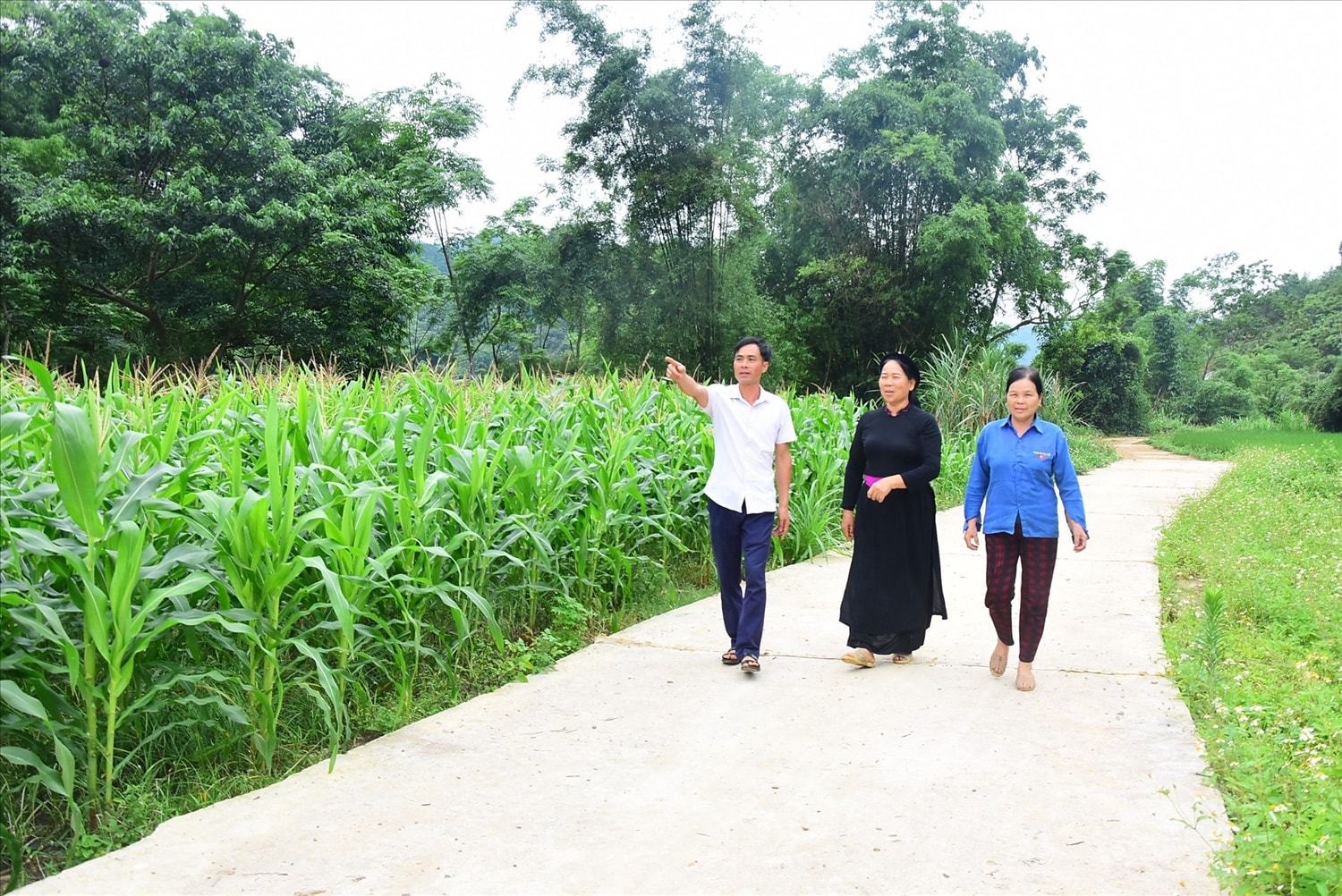 Tuyến đường nội đồng thôn Pác Hóp, xã Linh Phú (Chiêm Hóa) do bà Ma Thị Linh, người có uy tín và nhân dân đóng góp, đưa vào sử dụng trong năm 2022.