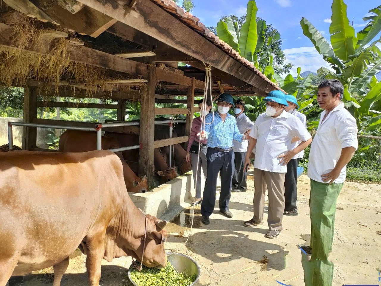(CĐ Tương Dương, Nghệ An): Người có uy tín Kha Văn Toàn “Nghỉ hưu, không nghỉ việc” 2