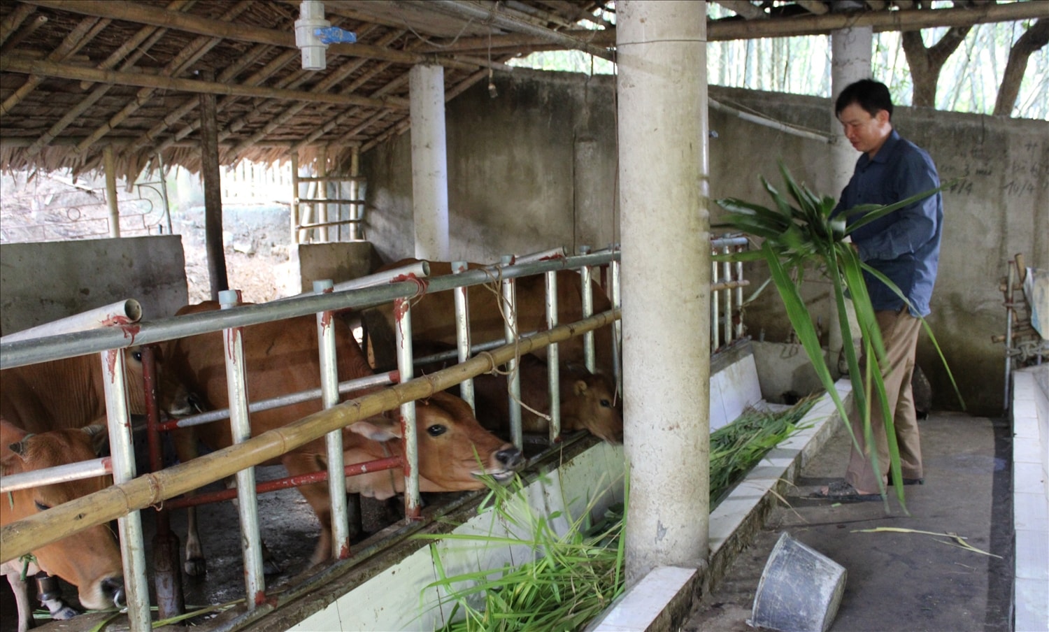 (CĐ Tương Dương, Nghệ An): Người có uy tín Kha Văn Toàn “Nghỉ hưu, không nghỉ việc” 1