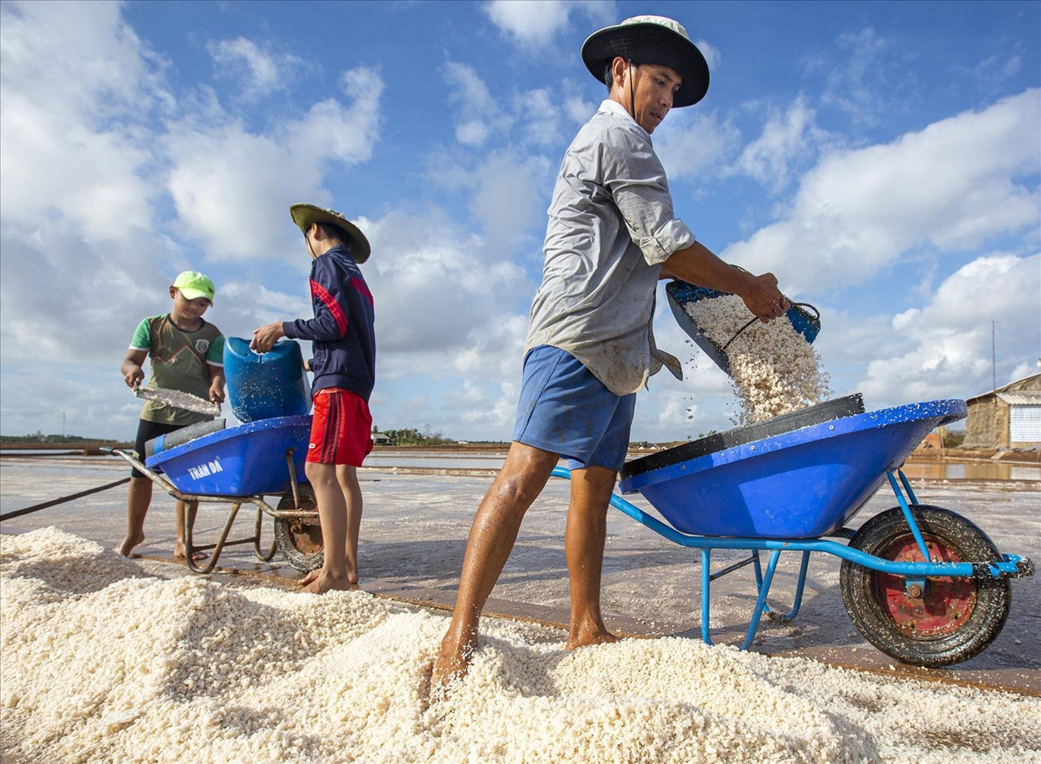 Diêm dân thu hoạch muối Diêm dân thu hoạch muối