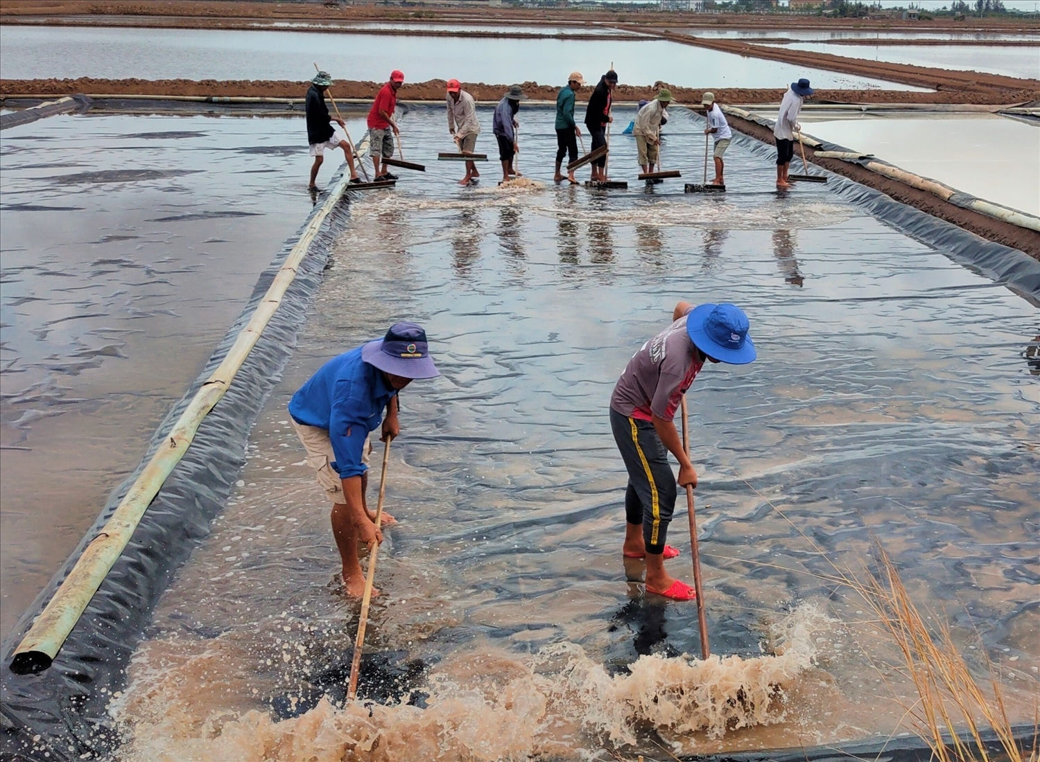 Huyện Đông Hải lâu nay được xem là “thủ phủ” nghề muối của tỉnh Bạc Liêu, thế nhưng trước đây, đời sống của diêm dân bấp bênh khi giá muối lên xuống thất thường. Huyện Đông Hải lâu nay được xem là “thủ phủ” nghề muối của tỉnh Bạc Liêu, thế nhưng trước đây, đời sống của diêm dân bấp bênh khi giá muối lên xuống thất thường.