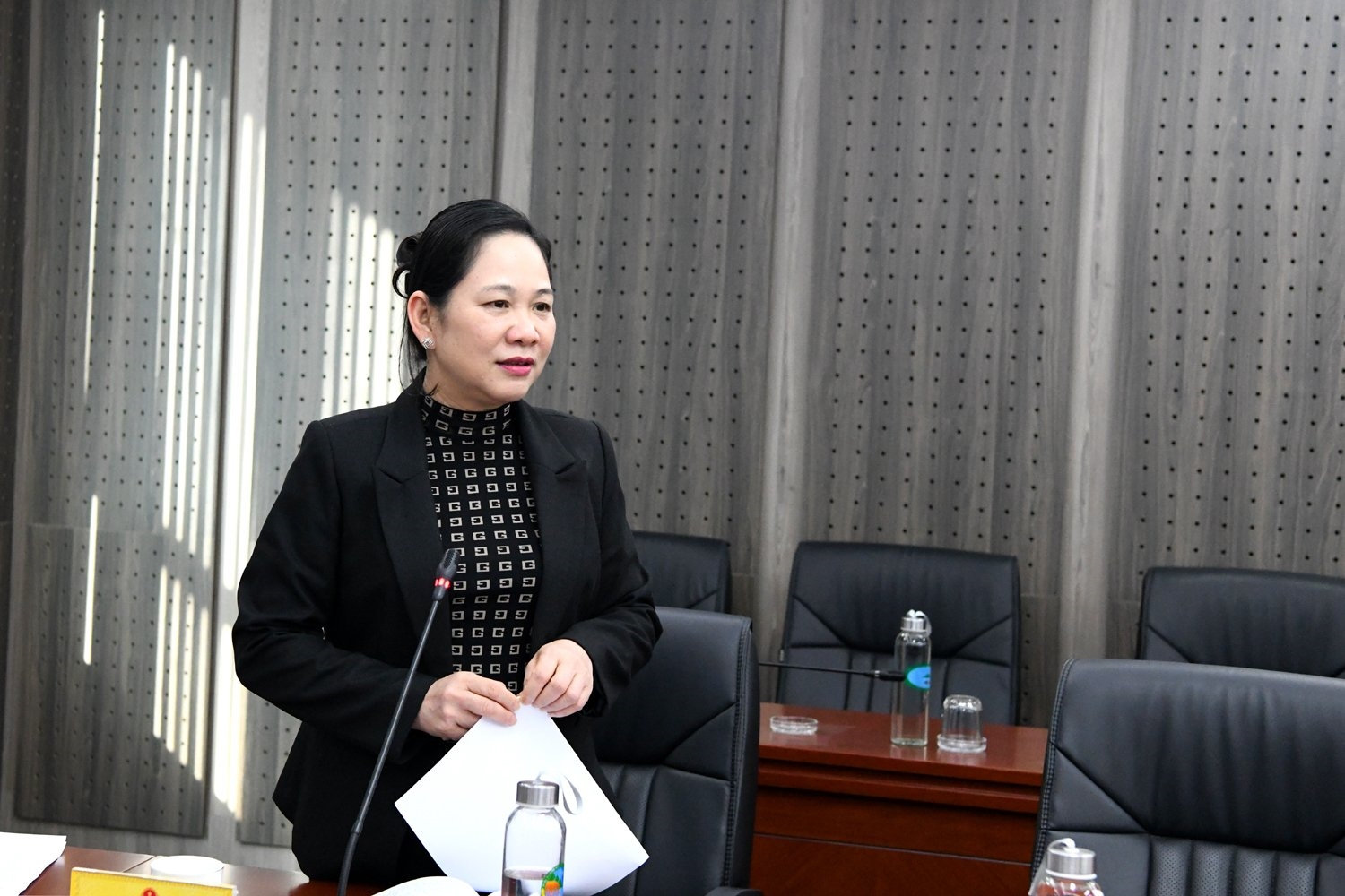 Thứ trưởng, Phó Chủ nhiệm Nông Thị Hà phát biểu tại cuộc họp Thứ trưởng, Phó Chủ nhiệm Nông Thị Hà phát biểu tại cuộc họp