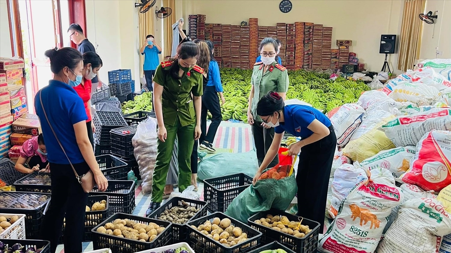 Những năm qua, huyện Sơn Dương đẩy mạnh tăng cường phát triển mô hình trồng trọt công nghệ cao, đã mang lại hiệu quả kinh tế rõ nét cho bà con nông dân trên địa bàn huyện Những năm qua, huyện Sơn Dương đẩy mạnh tăng cường phát triển mô hình trồng trọt công nghệ cao, đã mang lại hiệu quả kinh tế rõ nét cho bà con nông dân trên địa bàn huyện