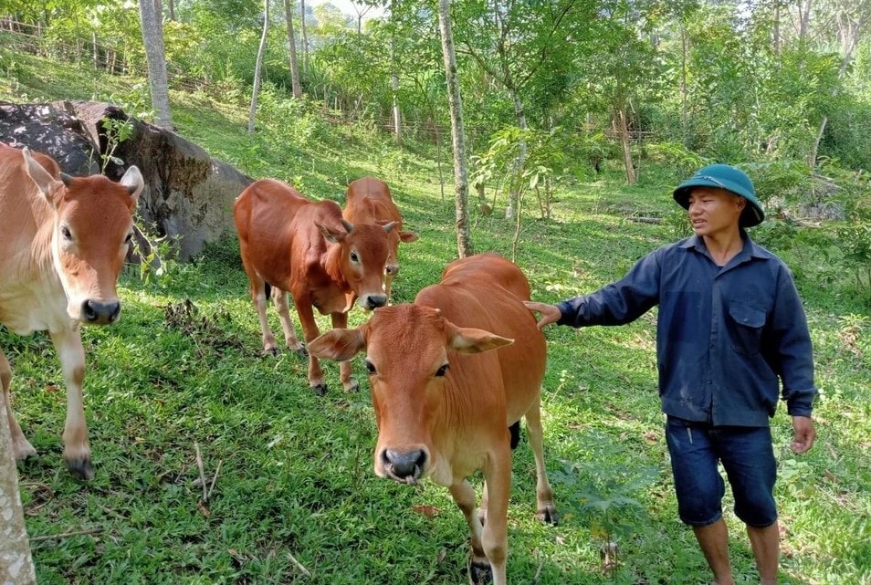 An ninh trật tự được đảm bảo, người dân xã Tam Hợp yên tâm phát triển kinh tế An ninh trật tự được đảm bảo, người dân xã Tam Hợp yên tâm phát triển kinh tế