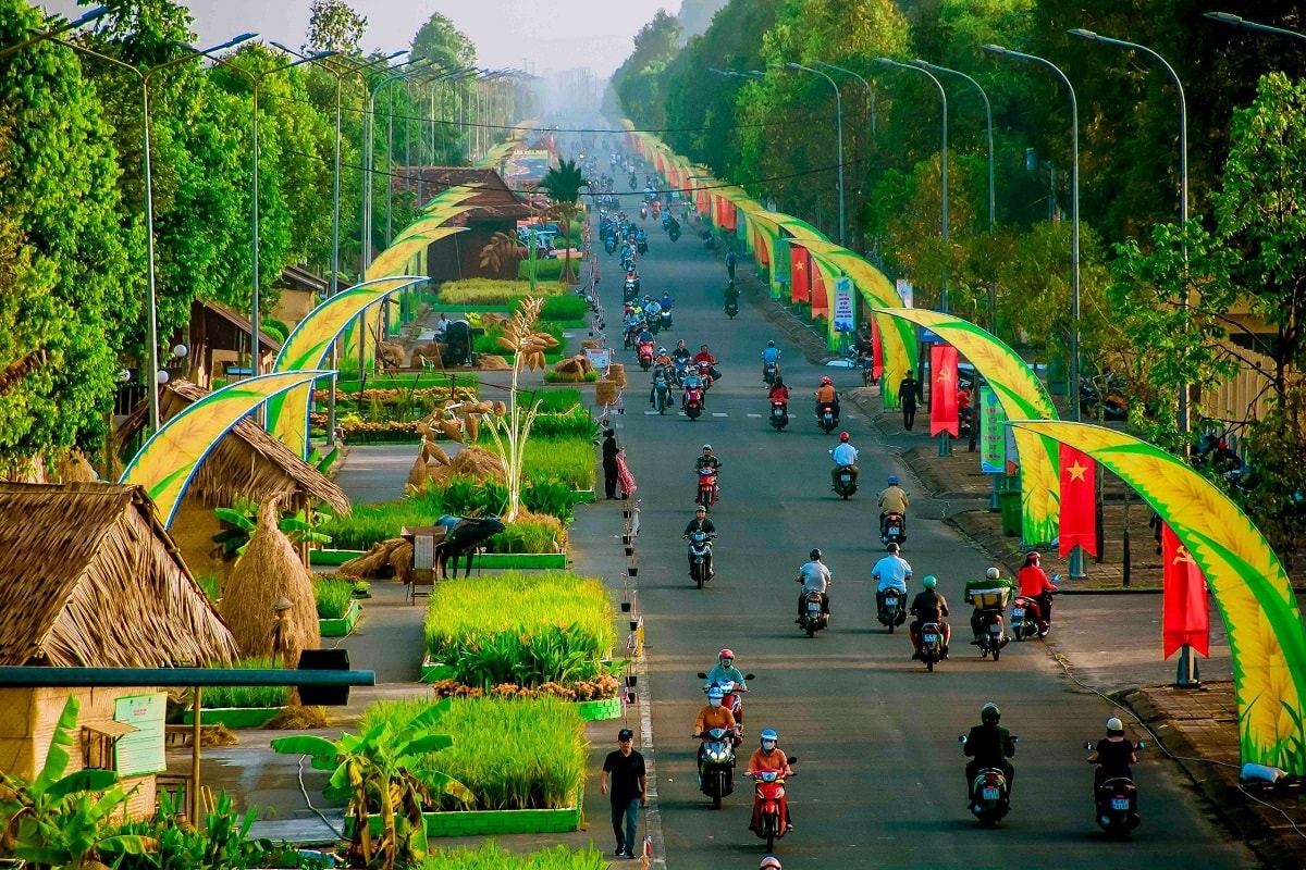 Toàn cảnh con đường lúa gạo Việt Nam Toàn cảnh con đường lúa gạo Việt Nam