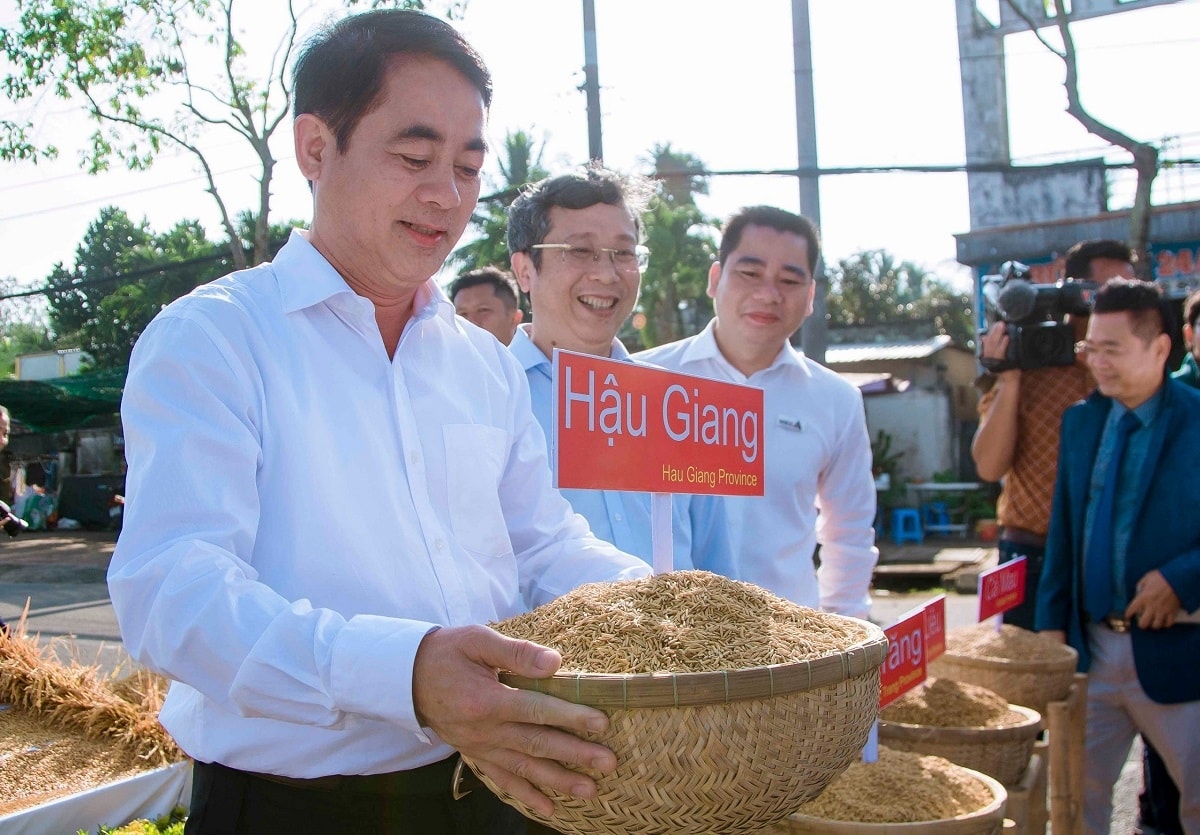Bí thư Tỉnh ủy Hậu Giang Nghiêm Xuân Thành giới thiệu giống lúa đặc sản tỉnh Hậu Giang Bí thư Tỉnh ủy Hậu Giang Nghiêm Xuân Thành giới thiệu giống lúa đặc sản tỉnh Hậu Giang