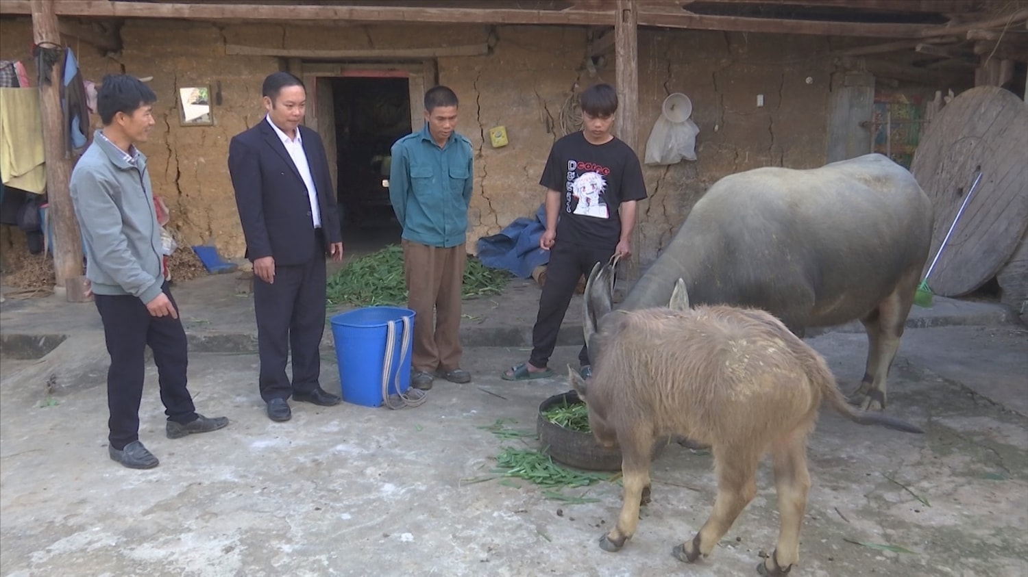 Gia đình anh Chương (thứ 3 từ trái qua) có thu nhập khá từ chăn nuôi trâu, bò Gia đình anh Lù Cồ Chương (thứ 3 từ trái qua) có thu nhập khá từ chăn nuôi trâu, bò