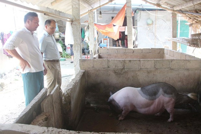 Chăn nuôi lợn nái sinh sản cho người dân xã Trung Yên, huyện Sơn Dương, tỉnh Tuyên Quang tăng thu nhập Chăn nuôi lợn nái sinh sản cho người dân xã Trung Yên, huyện Sơn Dương, tỉnh Tuyên Quang tăng thu nhập
