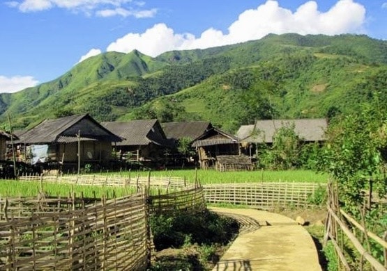 (CĐ Lai Châu) 