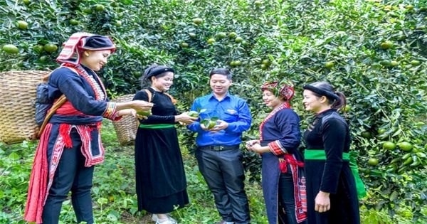 Người nông dân đã biết áp dụng khoa học công nghệ vào trồng trọt để nâng cao giá trị sản phẩm