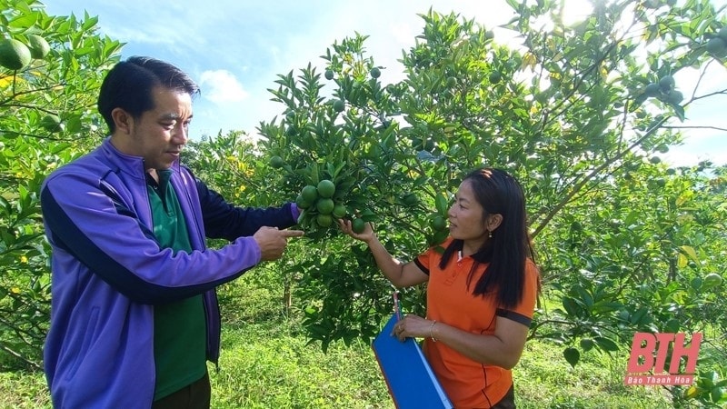 (BCĐ- Thông tin đối ngoại) Thúc đẩy hợp tác ngành nông nghiệp Việt - Lào giai đoạn 2023- 2025 2