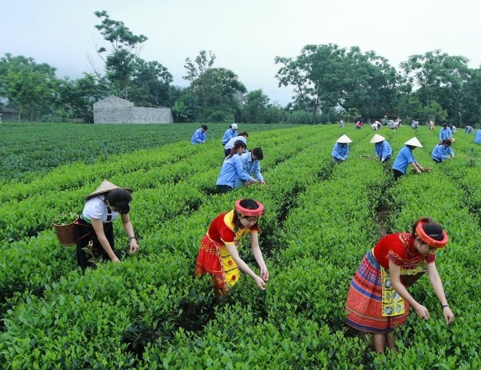 Nguồn lực đất đai là yếu tố chi phối sự phát triển của mỗi cộng đồng, đặc biệt là dân tộc thiểu số