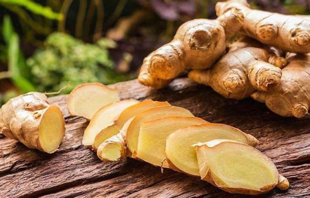 Gừng là gia vị và là thuốc quý trong y học cổ truyền