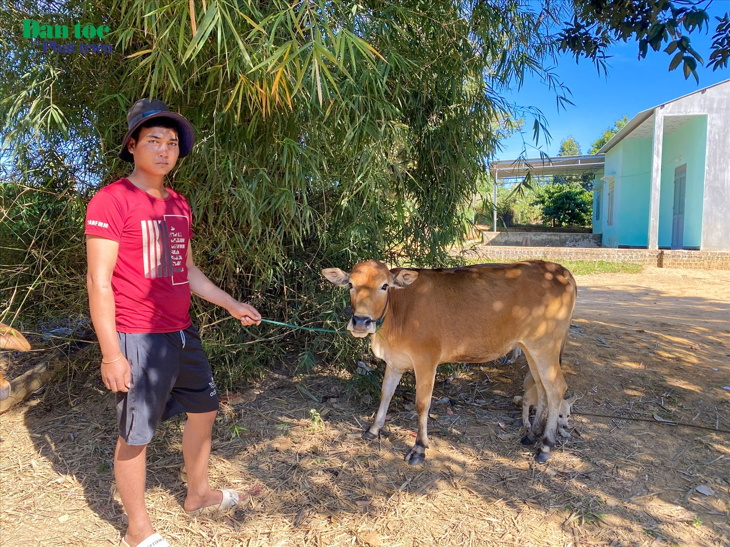 Sau khi lãnh đạo xã đến nhà đưa 9 triệu đồng thì A Trương mua một con bò trong thôn trị giá hơn 8 triệu đồng