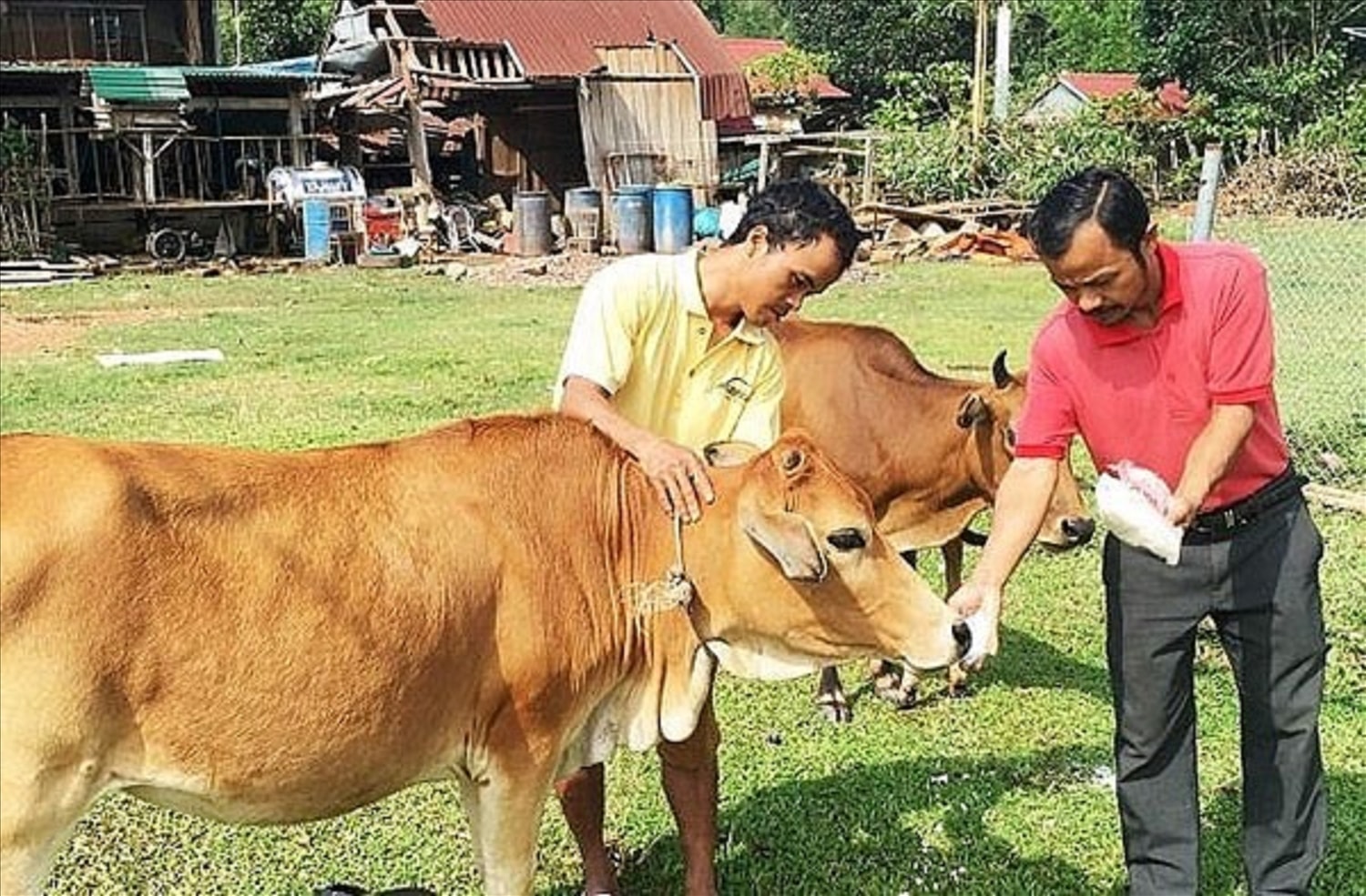 (BCĐ - TT vận động ND) Để người nghèo không bị bỏ lại phía sau: Cần đặt mình vào hoàn cảnh của người nghèo để thấu hiểu (Bài 1) 1