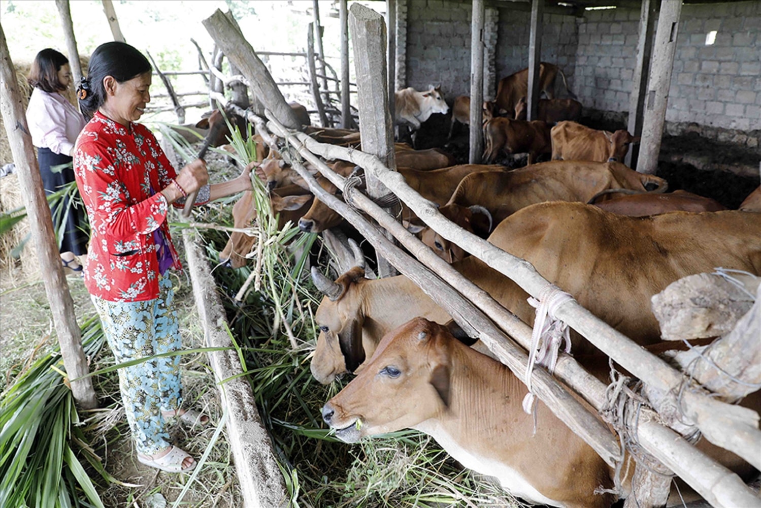 (BCĐ - TT vận động nhân dân) Không để ai bỏ lại phía sau: “Trao cần câu hay trao cá”? (Bài 2)