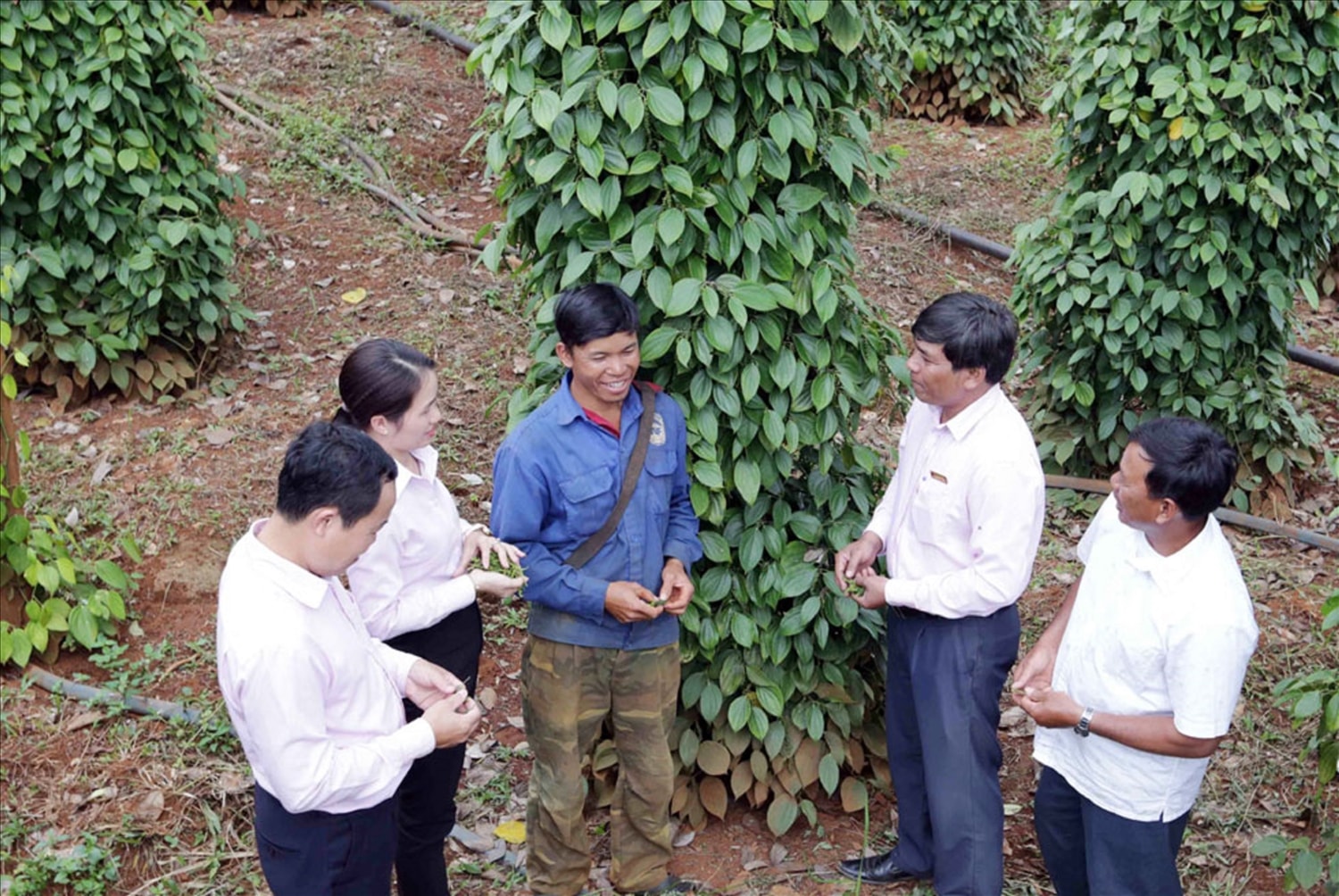 (BCĐ - TT vận động nhân dân) Không để ai bỏ lại phía sau: “Trao cần câu hay trao cá”? (Bài 2) 3