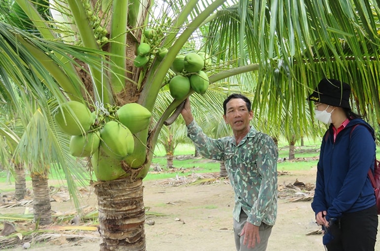 Anh Ma Đuông chăm sóc vườn sầu riêng của gia đình. Ảnh: Văn Thùy Anh Ma Đuông chăm sóc vườn sầu riêng của gia đình. Ảnh: Văn Thùy