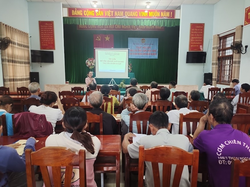 Lớp tập huấn kỹ thuật trồng bưởi da xanh tại xã An Tân, huyện An Lão