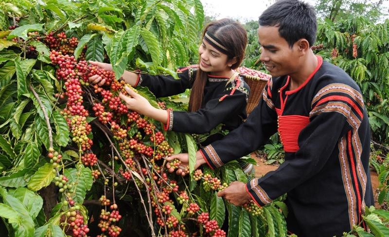 (BCĐ- Thông tin Đối ngoại): Phát triển du lịch vùng biên giới: Đa dạng hóa các loại hình du lịch biên giới (Bài 1) 2