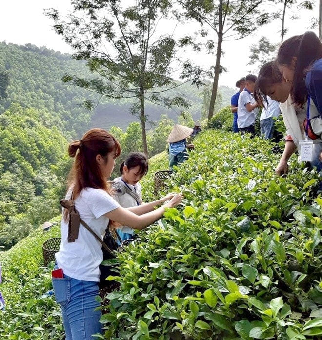 Du lịch đem lại nguồn thu lớn cho người dân Sơn Dương Du lịch đem lại nguồn thu lớn cho người dân Sơn Dương