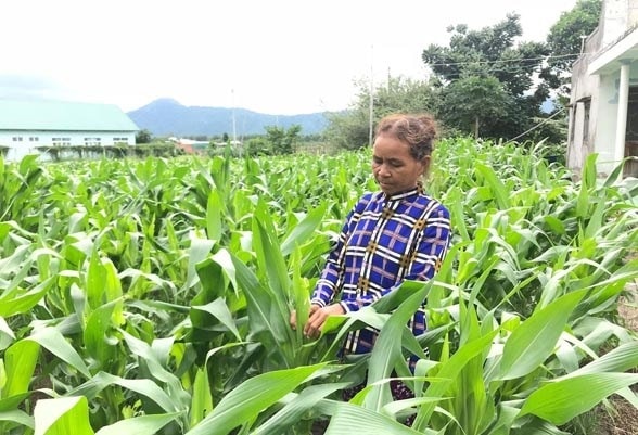 Đời sống của đồng bào DTTS ở xã Mỹ Thạnh, huyện Hàm Thuận Nam đã có nhiều chuyển biến đáng kể.